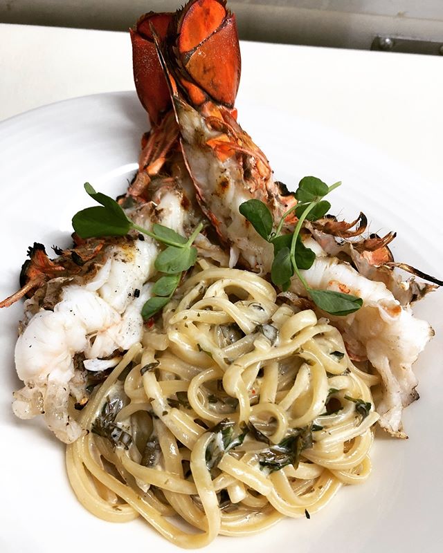 You’re the type of guy I’d share my lobster with... 🦞😉🥰#lobsterlover #dinnerspecial #foodislove #loveliveshere  #lovequotes #cheflife #lobstermacaronada #datenight #everydaylife #celebratelife