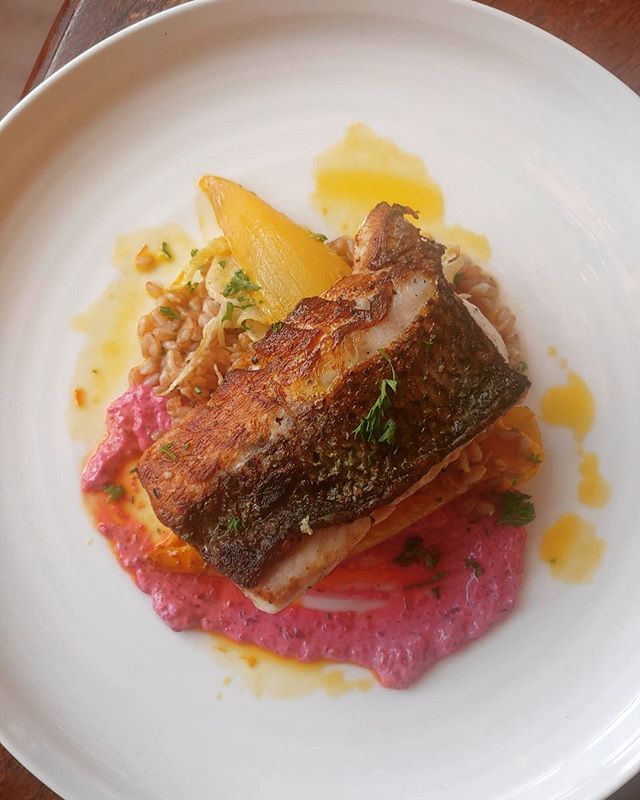 Good things come to those who bait...🎣🐠🛶Striped bass, beet and dill creme fraiche, saffron braised endive, farro and parsley. #freshcatch #catchoftheday #cheflife #protein #eatrealfood #celebratelife #eatclean #fish #bassseason #datenight